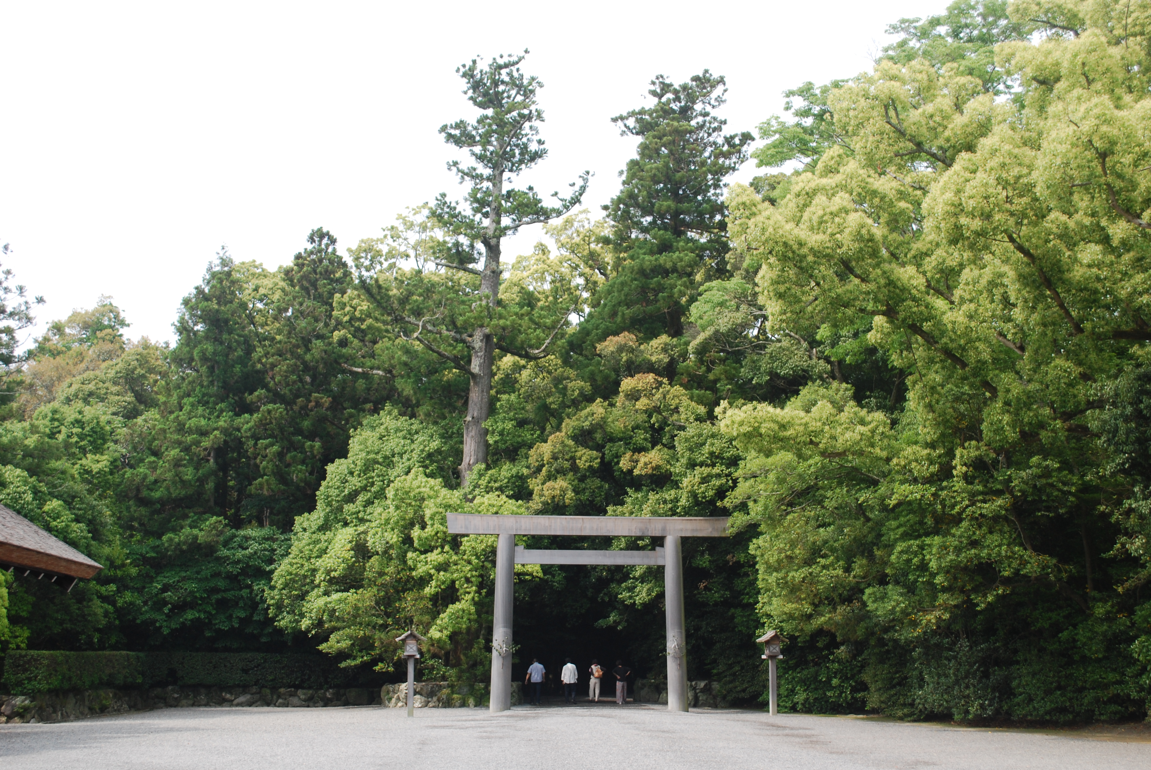 仕事　伊勢神宮　参拝,うまいふくすけのうどん,伊勢神宮　参拝　レンタサイクル