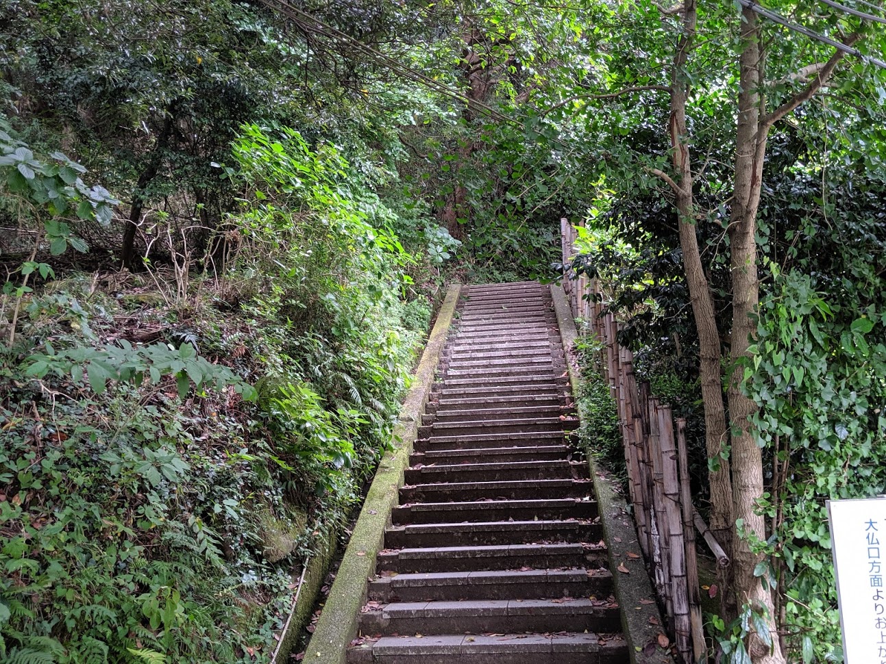 日本一大きな大仏さんがいる日本寺の鋸山に行きました。その一