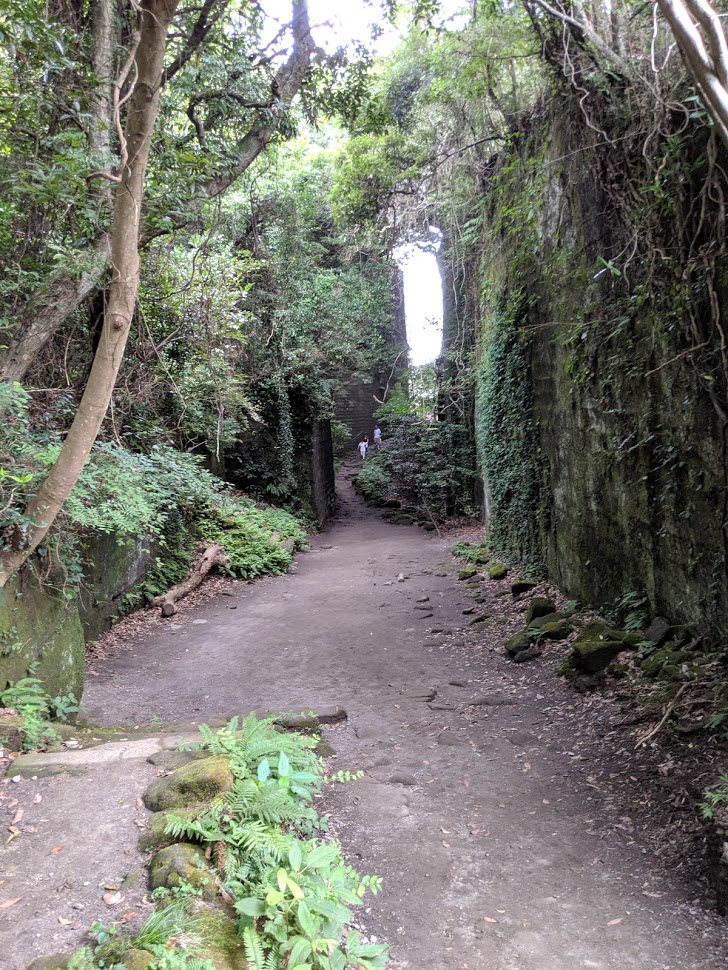 日本一大きな大仏さんがいる日本寺の鋸山に行きました。その二