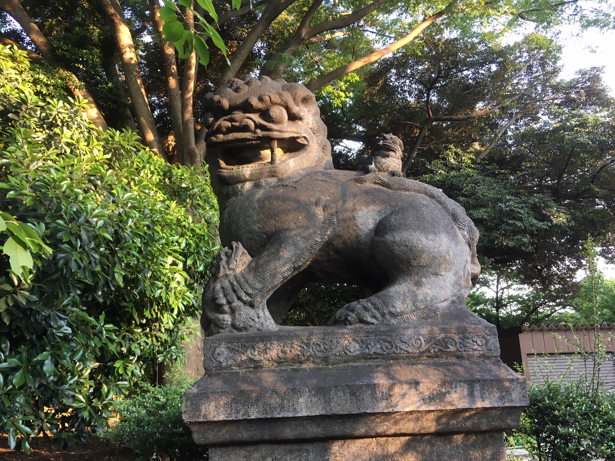 靖国神社　大鳥居　狛犬