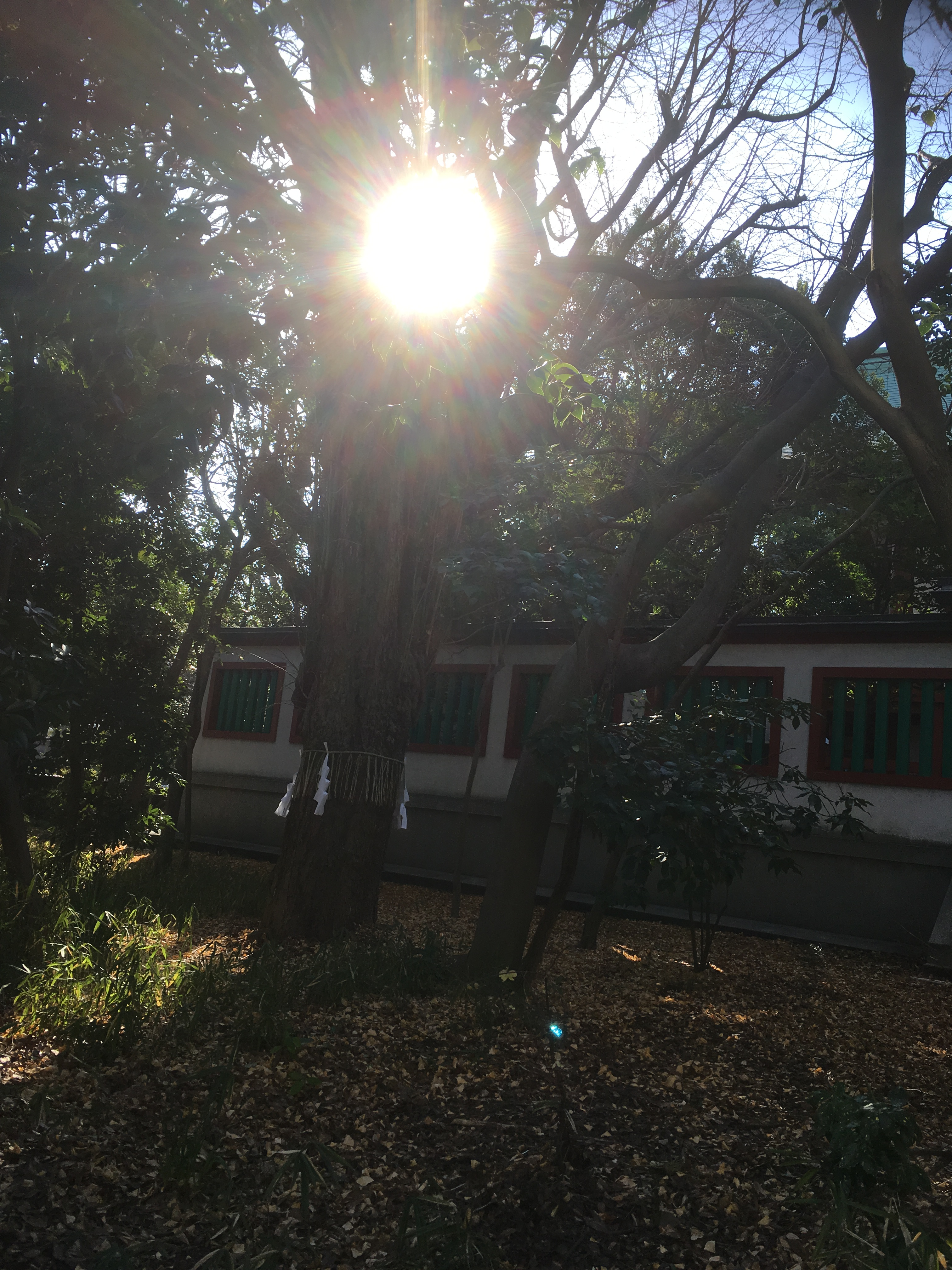 富岡八幡宮　深川　東京下町