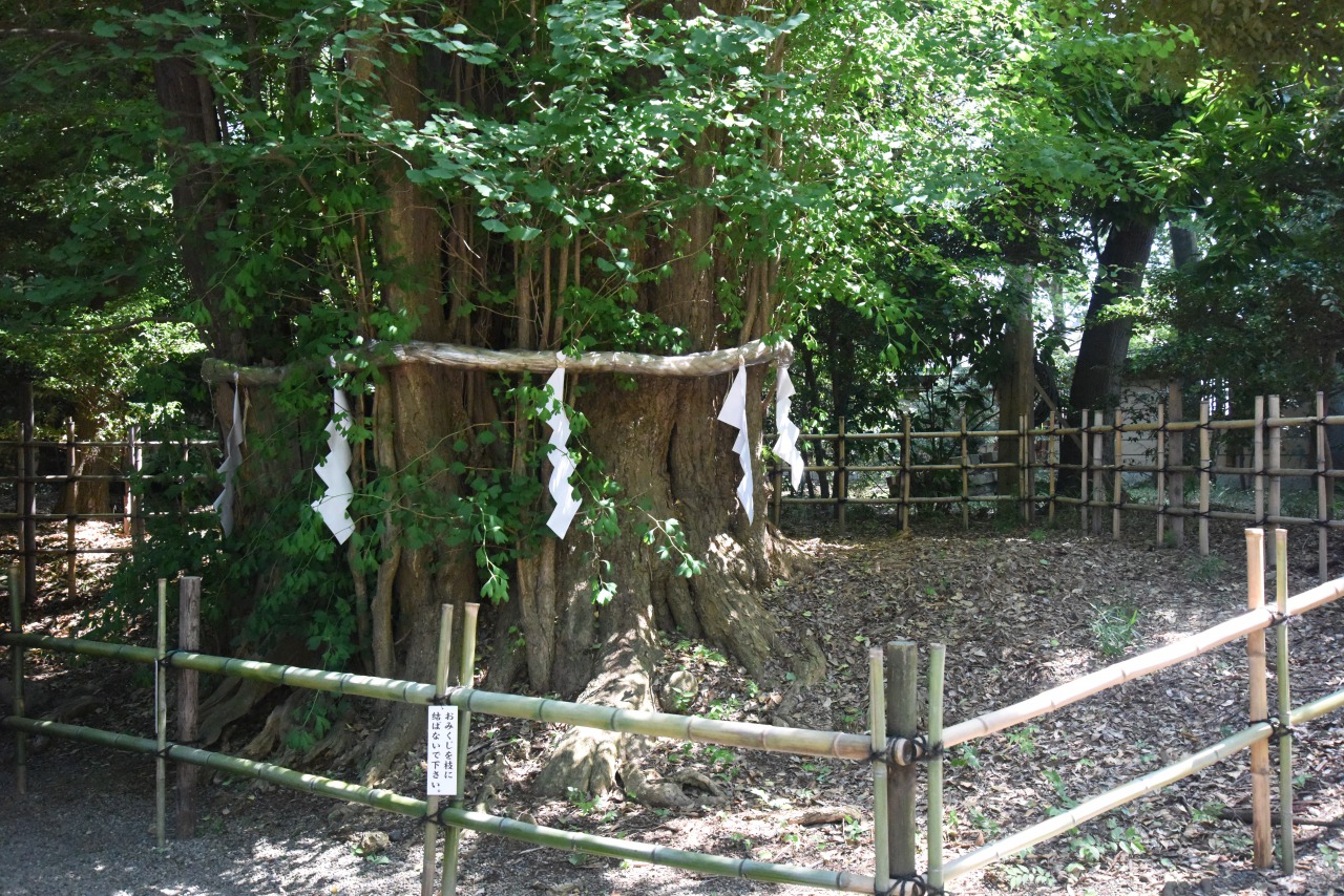大國魂神社,人形流し,亀石,鶴石